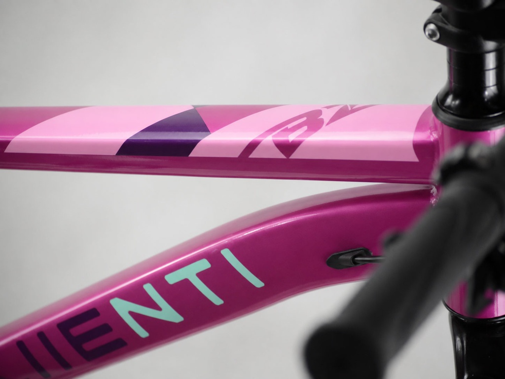 BICI 24" NIÑA ACERO C/SUSP ROSA 1x7 SHIMANO 2027