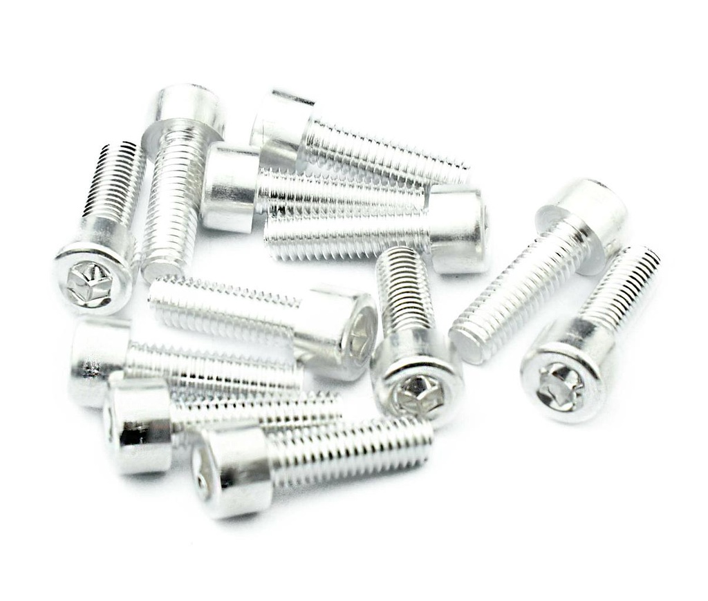 TORNILLO PORTABIDON ALLEN DE ALUMINIO PLATA (12 PIEZAS)  QW