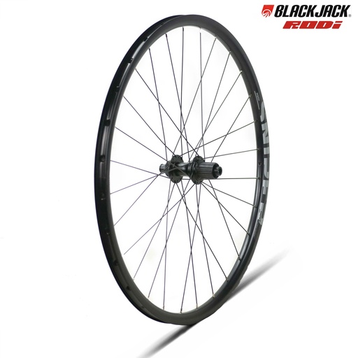 [WH100C] RUEDA TRASERA 29" RODI CENTERLOCK 12X142MM 28H SNIPER24